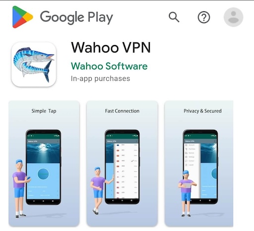 Step 1: Wahoo VPN app icon on iOS home screen