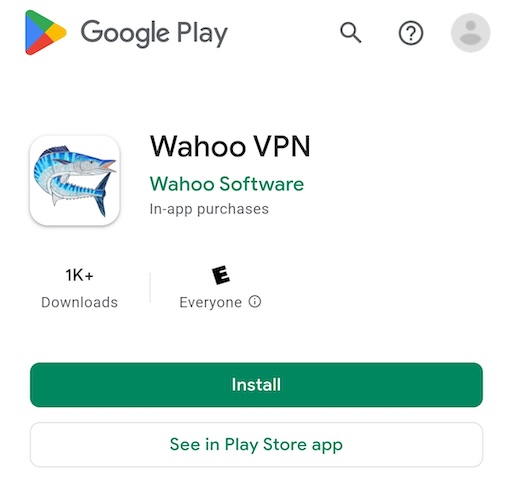 Play Store Install